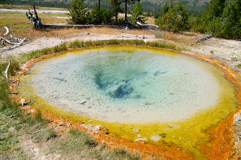 Een kleuren geyser