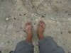 http://tweakers.net/ext/f/BY8FSvnLPClGdHE1AOF7E0Gj/thumb.jpg