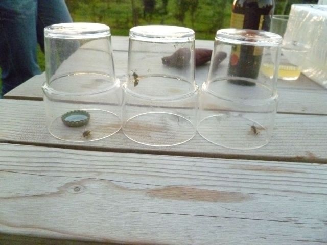 http://tweakers.net/ext/f/VPwuWxLVghg3Q7sHNODQnSyH/full.jpg http://tweakers.net/ext/f/VPwuWxLVghg3Q7sHNODQnSyH/full.jpg