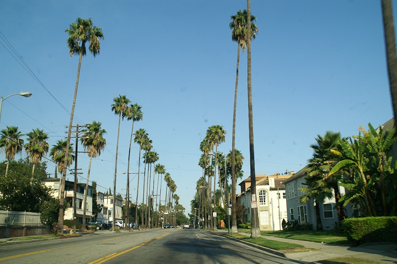 Dit is de weg naar het grote bord van Hollywood