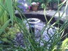http://tweakers.net/ext/f/gYXHcUrgYSIu64CGRYs8V6F7/thumb.jpg