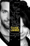 Poster voor Silver Linings Playbook