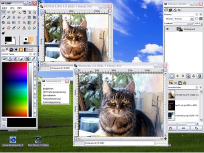 The GIMP screenshot (410 pix) The GIMP screenshot (410 pix)