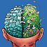 Meer Braintraining: Ook oma mag meespelen aankondiging