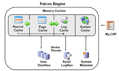 MySQL 6 -The Falcon Transactional Storage Engine MySQL 6 -The Falcon Transactional Storage Engine