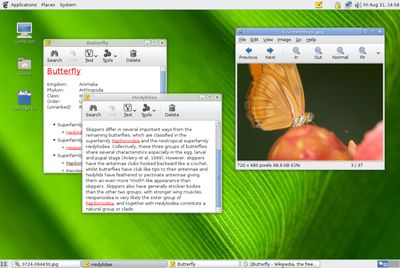 Gnome 2.20 Gnome 2.20