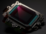 Canon EOS-1D Mark IV beeldsensor