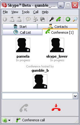 Skype 0.97.0.65 conference screenshot