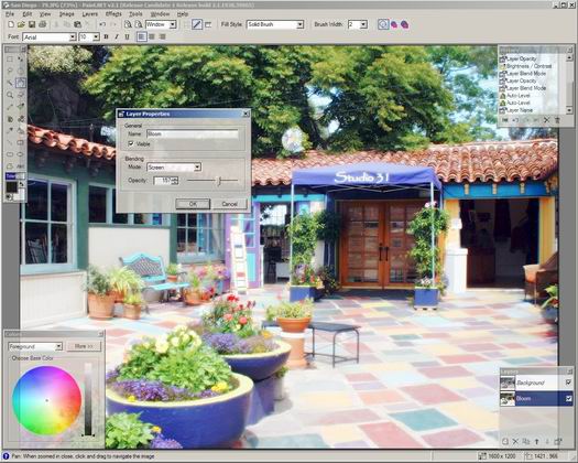 Paint.NET screenshot (resized)
