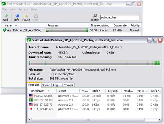 BitTorrent 4.9.3 beta screenshot (resized)