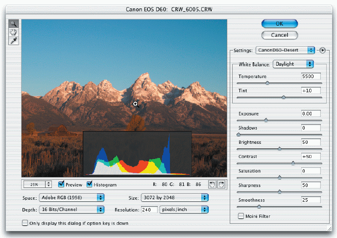 Adobe Photoshop Camera Raw screenshot