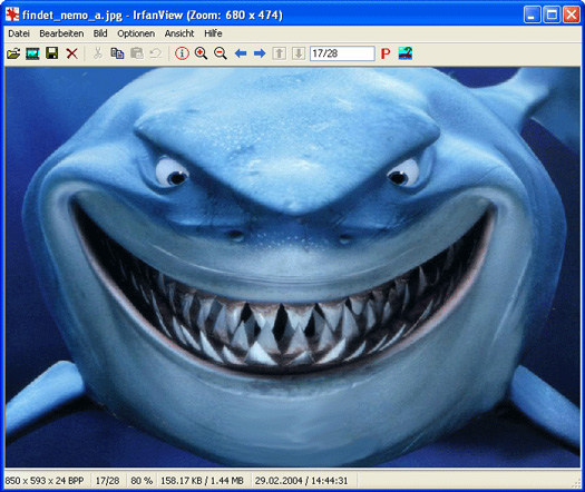 IrfanView screenshot (resized)