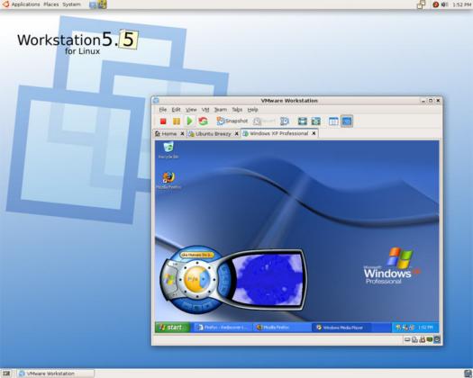 VMware Workstation 5.5 screenshot (resized)