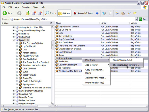 Anapod Explorer screenshot (resized)