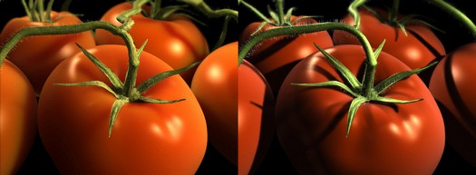 Subsurface scattering in Blender 2.44 (resized)