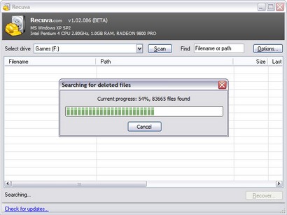 Recuva 1.02.086 beta screenshot (410 pix)