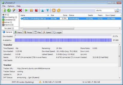 �Torrent 1.7 screenshot (410 pix)