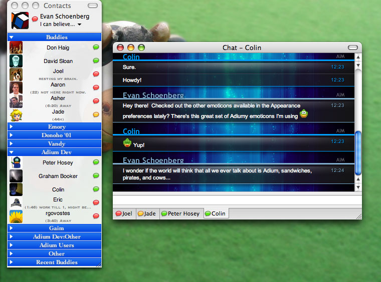 Adium X - chat window