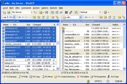 WinSCP screenshot (410 pix)