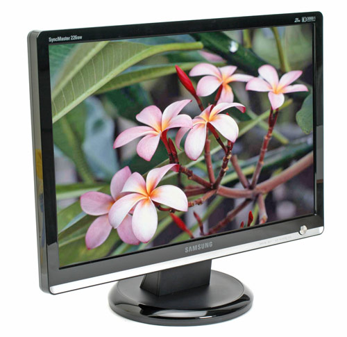 Samsung Syncmaster 226BW