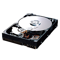Samsung SpinPoint T166 400GB