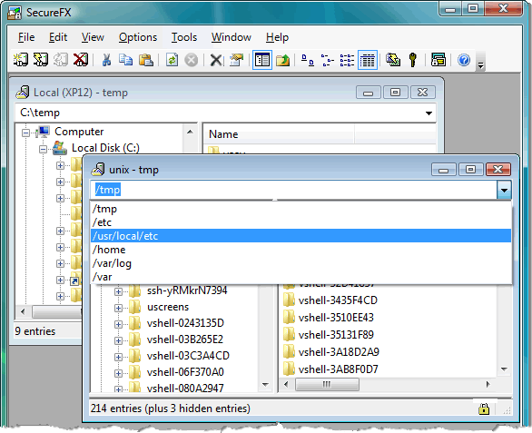 SecureFX 6.0 screenshot