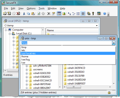 SecureFX 6.0 screenshot (410 pix)