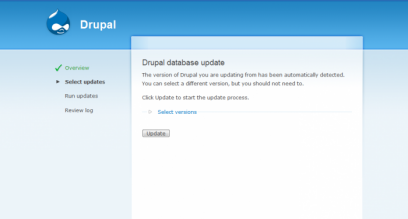 Drupal 6.0 screenshot (410 pix)