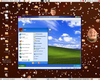 VirtualBox screenshot (410 pix)