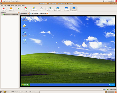 Vmware Server draait Windows op een Linux-server
