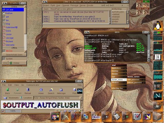 AfterStep - custom theme