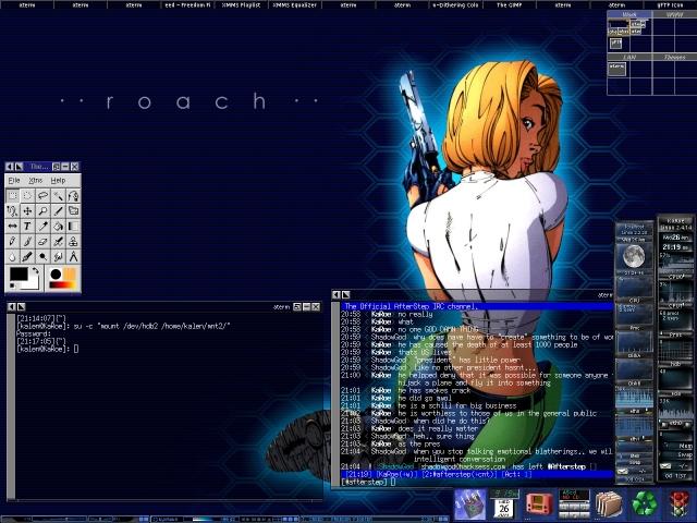 AfterStep - custom theme
