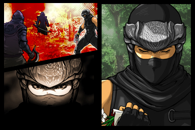 Ninja Gaiden Dragon Sword DS