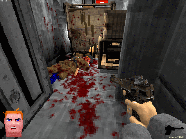Voxelstein 3D - Luger