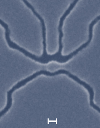 1nm kleine grafeen transistor