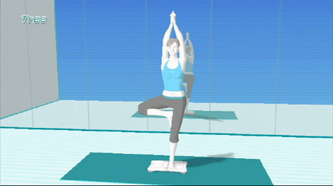 Wii Fit - screenshot