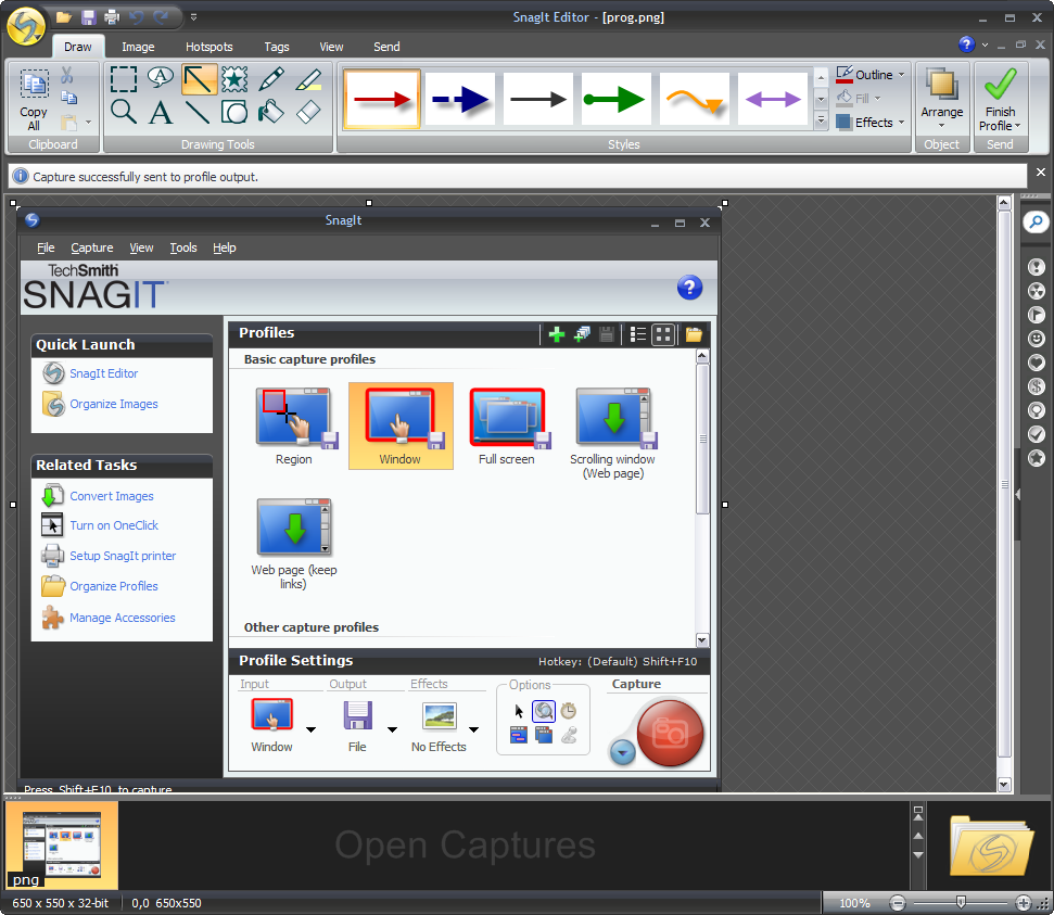 Snagit 9.0.0 screenshot