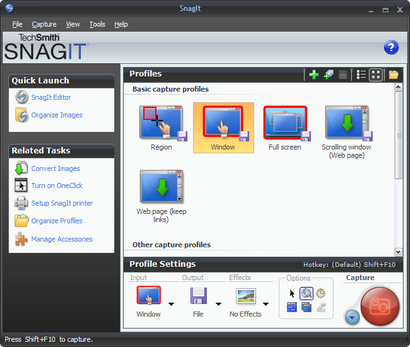 Snagit 9.0.0 screenshot (410 pix)