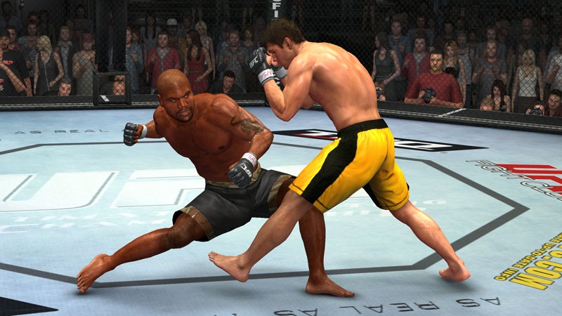 Ultimate Fighting Championship 2009: Undisputed
