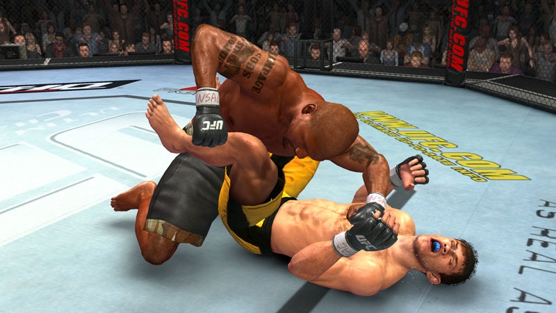 Ultimate Fighting Championship 2009: Undisputed