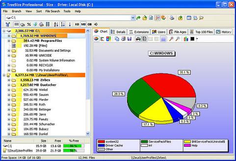 TreeSize Professional screenshot (481 pix)