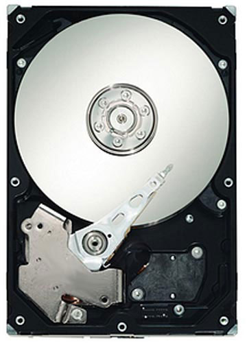 Seagate Barracuda 7200.11 ST310005N1D1AS-RK, 1TB