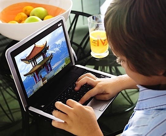 Dell Inspiron Mini 9 1