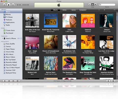 Apple iTunes 8.0 met gridview (481 pix)