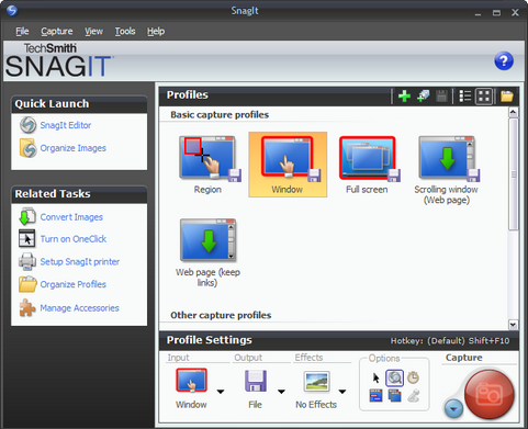 SnagIt 9.0 screenshot (481 pix)