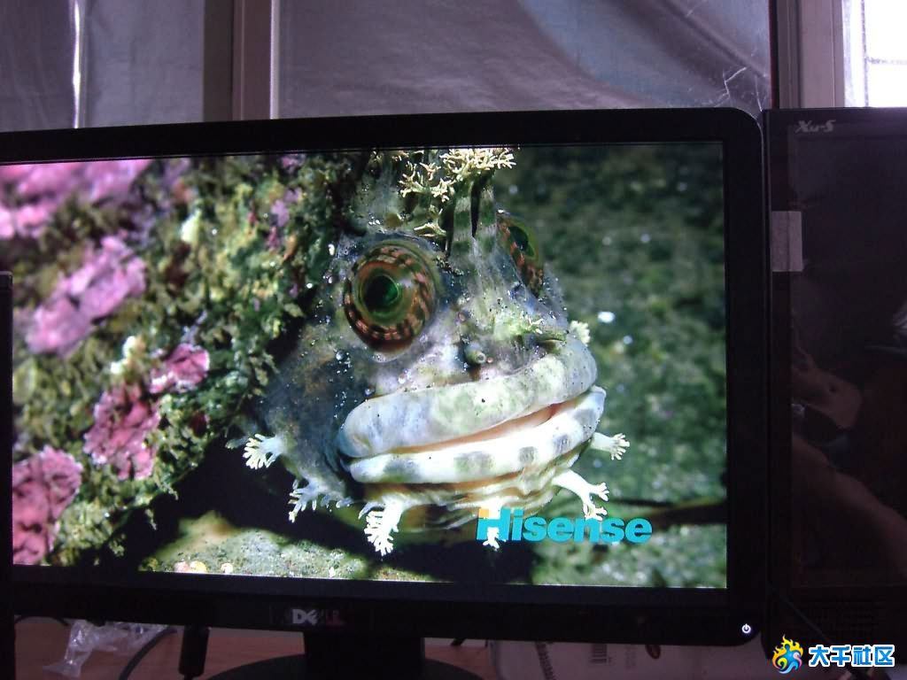 Dell 22" full hd-monitor