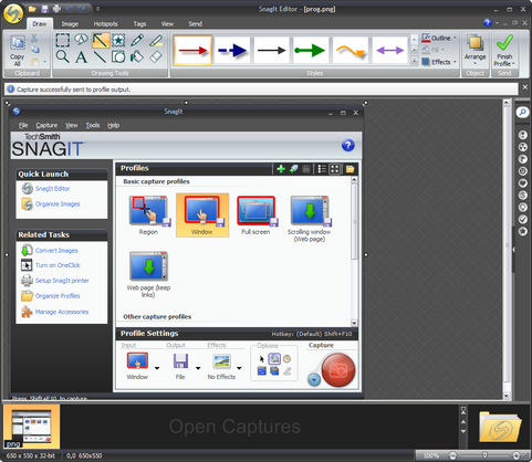 SnagIt 9.0 screenshot (481 pix)