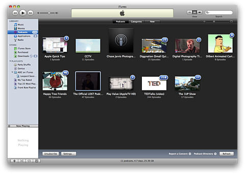 Apple iTunes 8.0.1