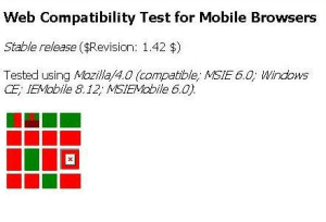 IE Mobile 6 Acid-test