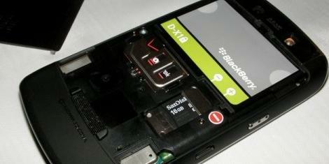 Blackberry Storm